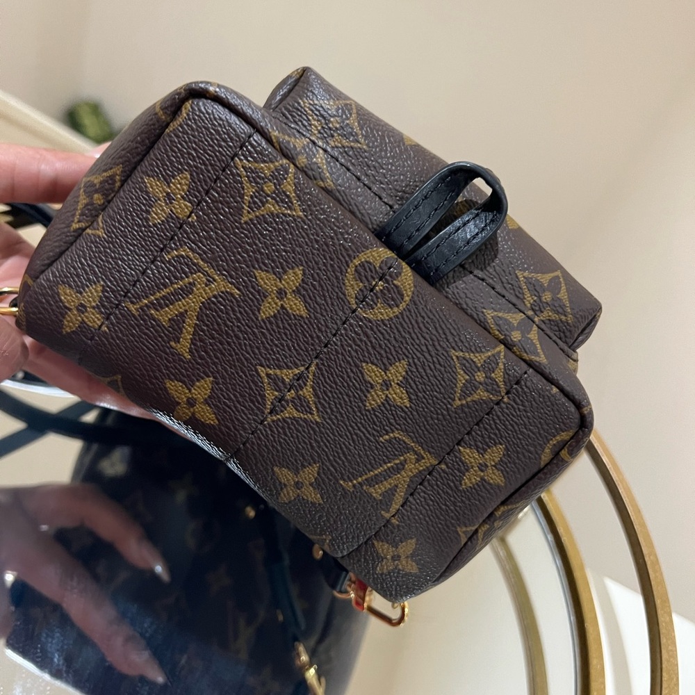 Louis Vuitton Palm Spring Mini - Picture 3 of 5